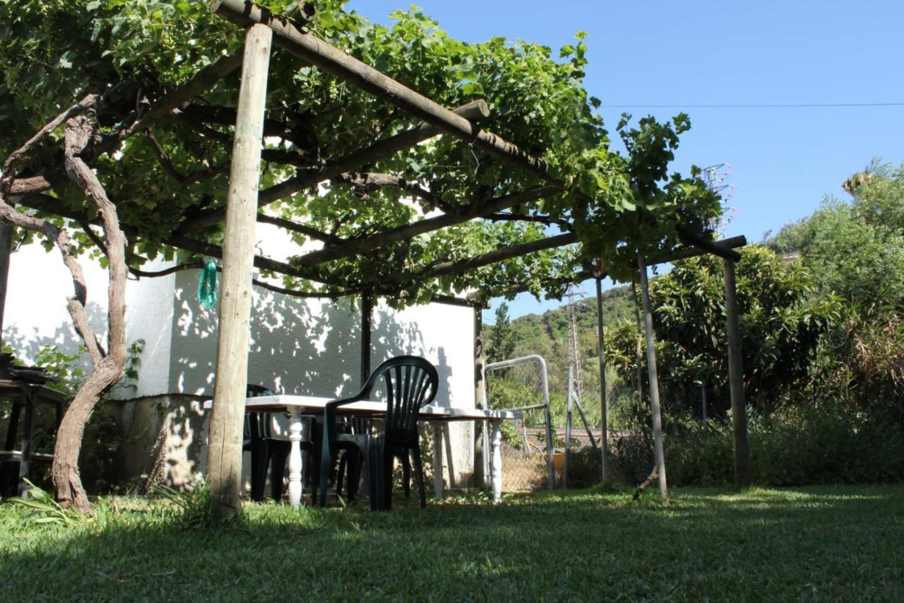 카디스 Casa La Maceta 빌라 외부 사진